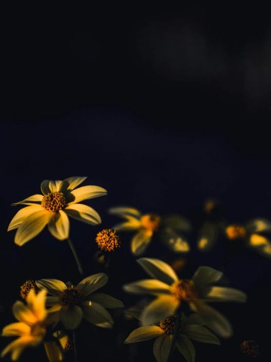 flowers for a mans funeral