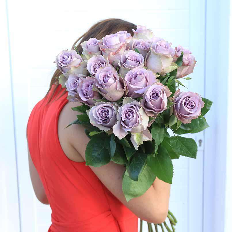Lavender Rose Colors For A Funeral