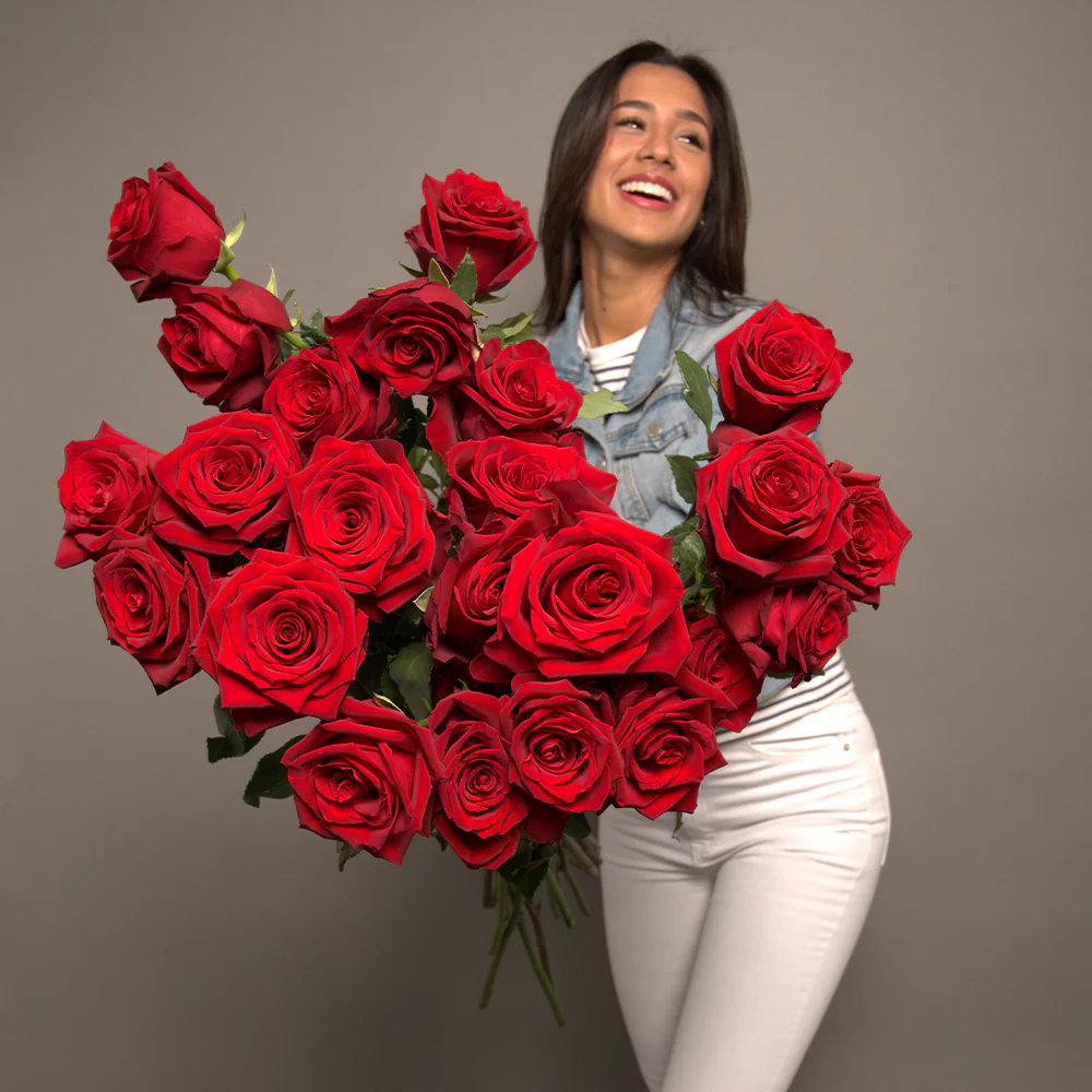 red Rose Colors For A Funeral