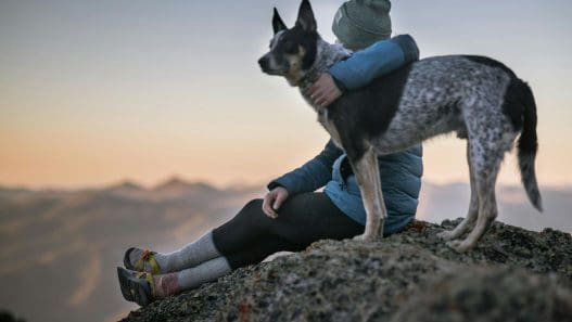 photo of person holding black and white dog
