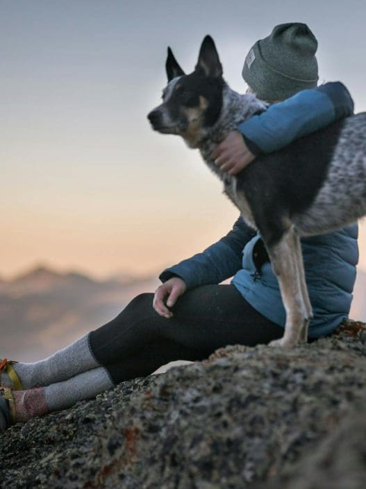 photo of person holding black and white dog
