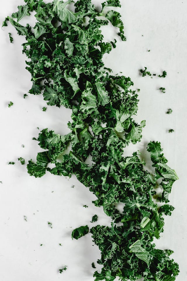 kale fall vegetable to grow in August