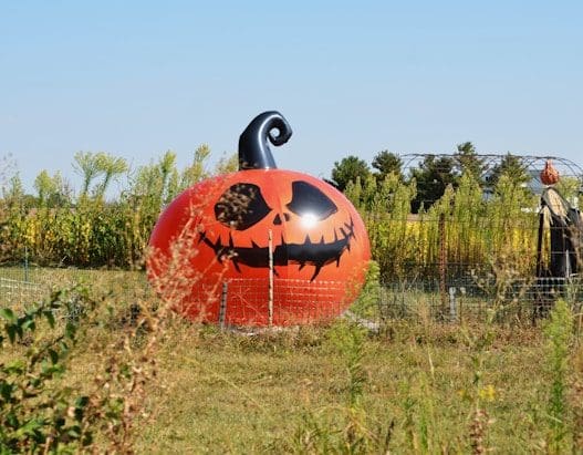 outdoor halloween decor