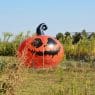 outdoor halloween decor