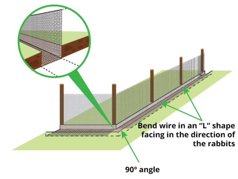 L-shaped rabbit proof fence