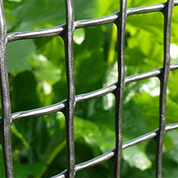 blach rabbit proof fence