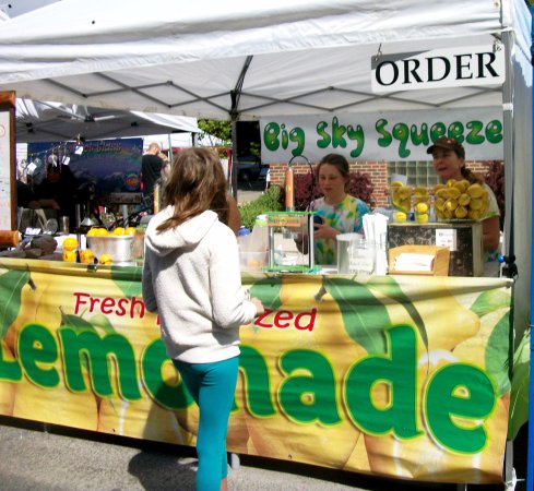 Homemade lemonade stand