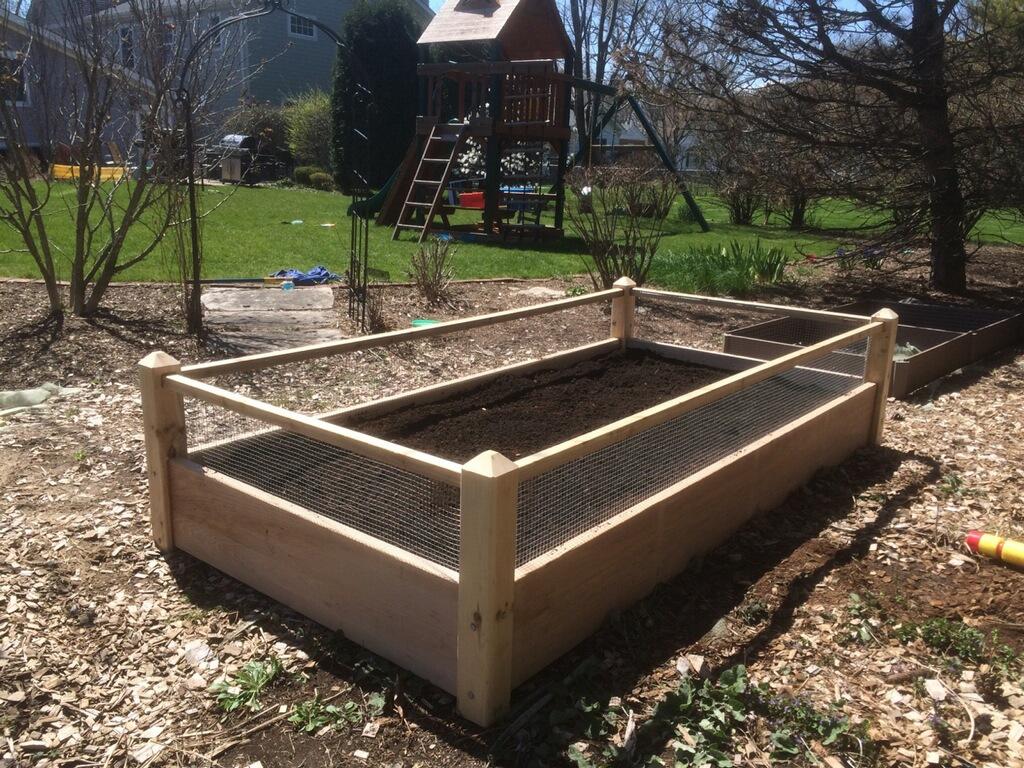 raised garden bed