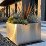 succulent planter ideas