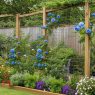 trellis for privacy ideas