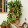 vertical vegetable garden ideas