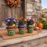 diy halloween porch decor